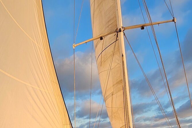 Experience Oceanside Sailing with Whales and dolphins! - Two Hours Between Harbor and Open Ocean