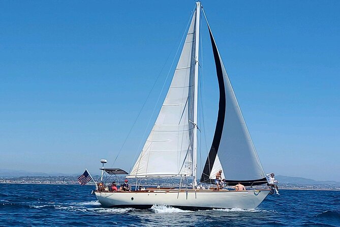 Experience Oceanside Sailing with Whales and dolphins! - Champagne, Charcuterie, and Sunset Possibilities
