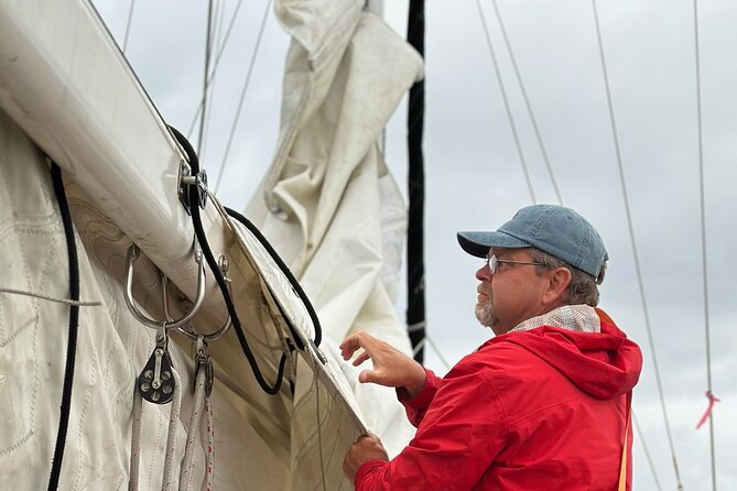 Experience Oceanside Sailing with Whales and dolphins! - Is $130 a Fair Price?