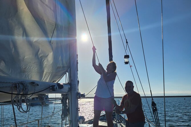 Experience Oceanside Sailing with Whales and dolphins! - Booking, Weather, and Practical Details
