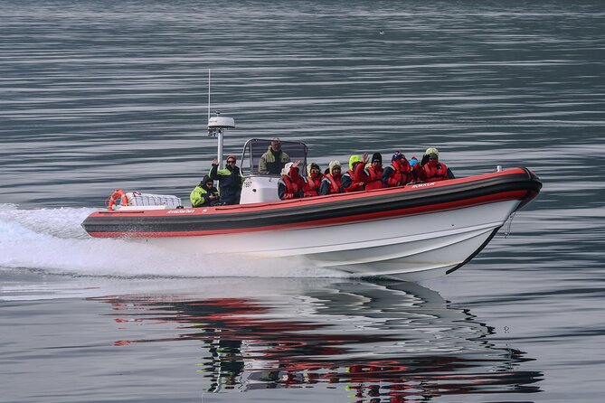 Express Whale Watching in Dalvik - Searching near Hrísey Island