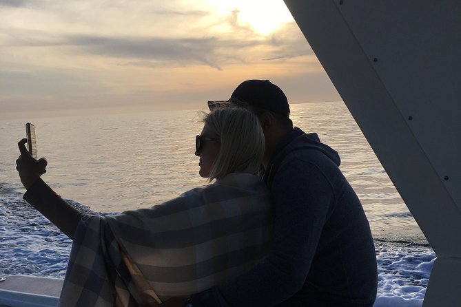 Family and Private Group Whale and Dolphin Watching - Snacks, water, and BYOB