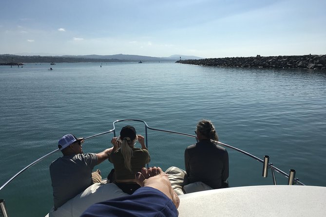 Family and Private Group Whale and Dolphin Watching - What the three-hour search is really like