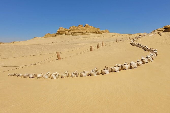 Fayoum Adventure: Whales Valley,4x4 Desert Safari & Wadi Rayan - What the $160 price covers