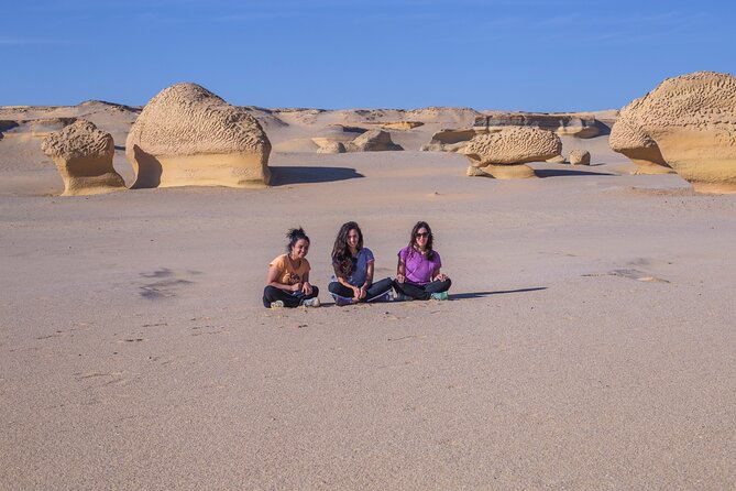 Fayoum Day Tour - Wadi El Rayan,Valley of the Whales,Magic Lake - Wadi Al Hitan and the story of whales with legs