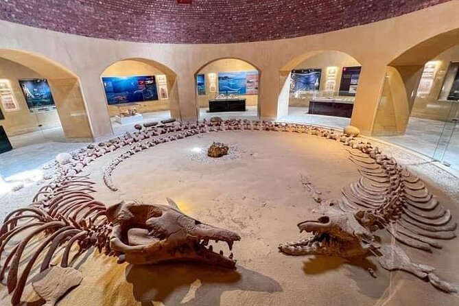 Fayoum Oasis Tour Hidden Gem Wadi El Rayan & Valley of the Whales - Why Wadi Al-Hitan makes this day trip special
