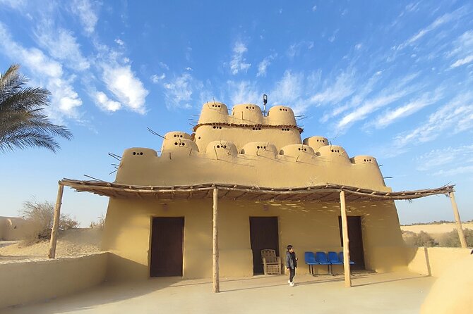 Fayoum Oasis Tour Hidden Gem Wadi El Rayan & Valley of the Whales - What the $130 price includes