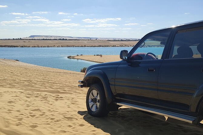 Fayoum Oasis Tour Hidden Gem Wadi El Rayan & Valley of the Whales - The guides and the human side of the day