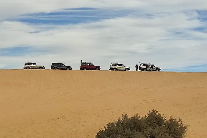 Fayoum Oasis Tour Hidden Gem Wadi El Rayan & Valley of the Whales - Timing, comfort, and practical details