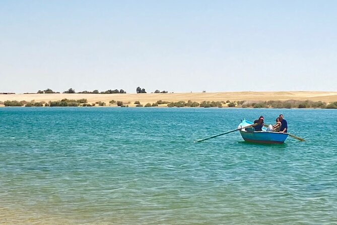 Fayoum Oasis Tour Hidden Gem Wadi El Rayan & Valley of the Whales - Should you book the Wadi El-Rayan and Whale Valley tour?