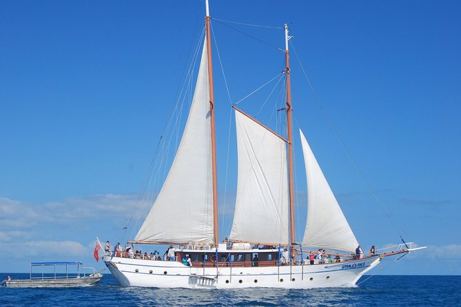 Fijian Islands and Snorkel Full-Day Whales Tale Cruise including Beach BBQ Lunch - Boarding the 100-Foot Whale’s Tale