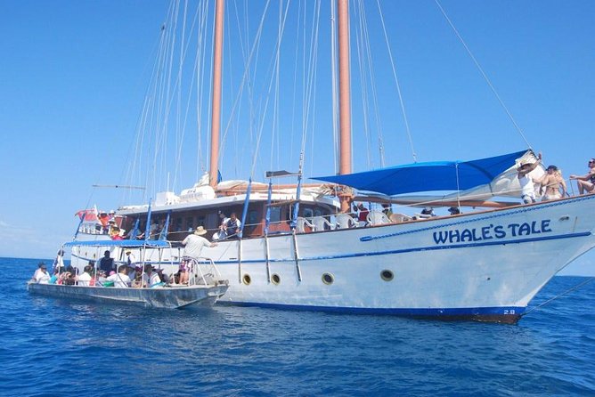 Fijian Islands and Snorkel Full-Day Whales Tale Cruise including Beach BBQ Lunch - Snorkeling, Swimming, and Time in the Water