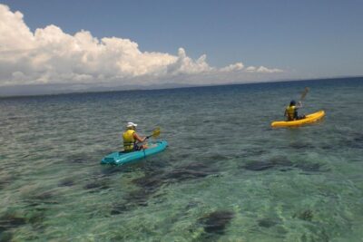Fijian Islands and Snorkel Full-Day Whales Tale Cruise including Beach BBQ Lunch