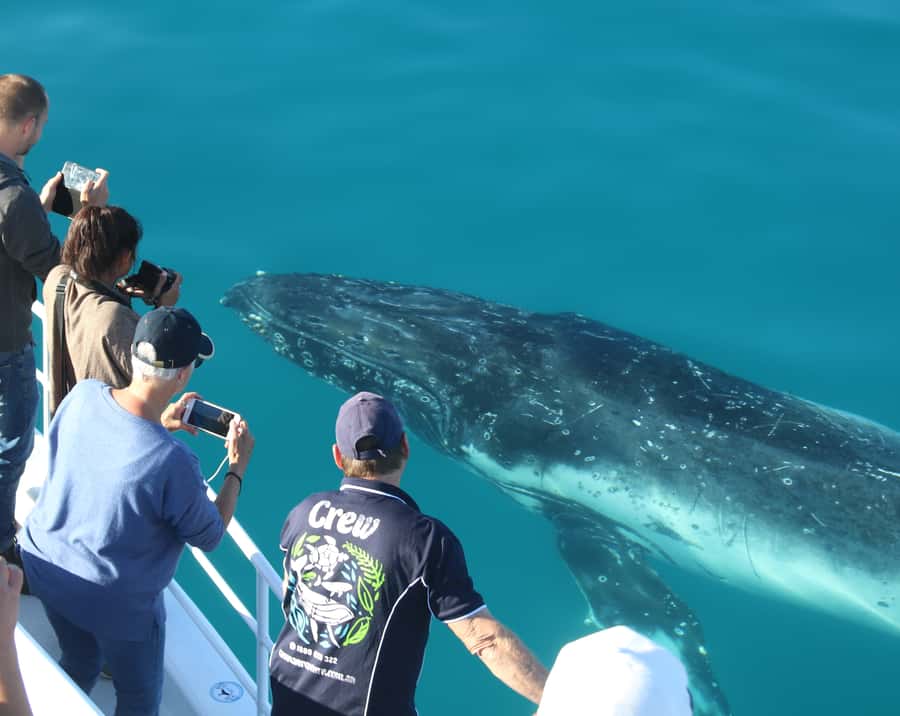 Fraser Island (K'gari): Remote Island and Whale Experience - Who will get the most from this tour