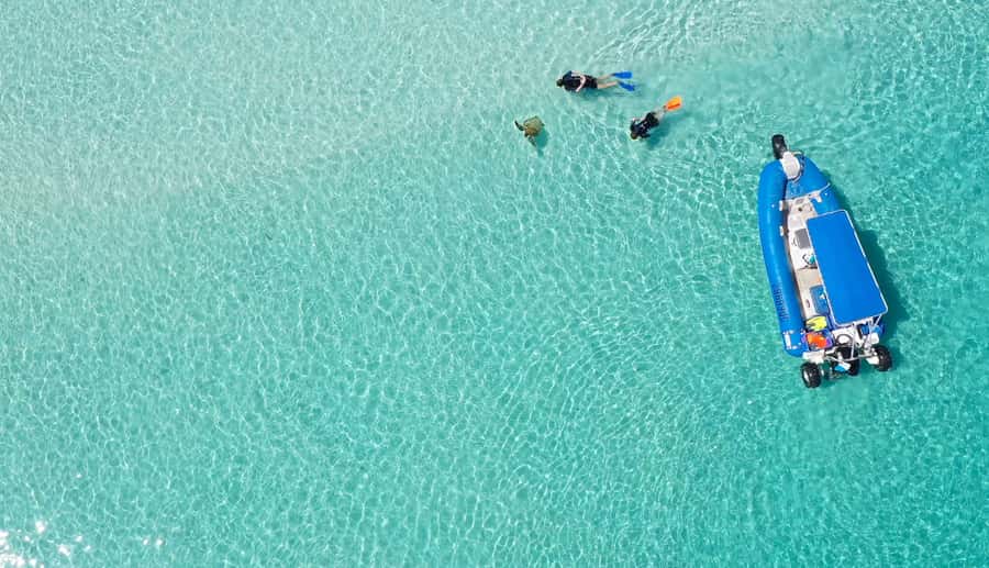 Fraser Island (K'gari): Remote Island and Whale Experience - Wathumba Creek: kayaking, tubing, and clear water