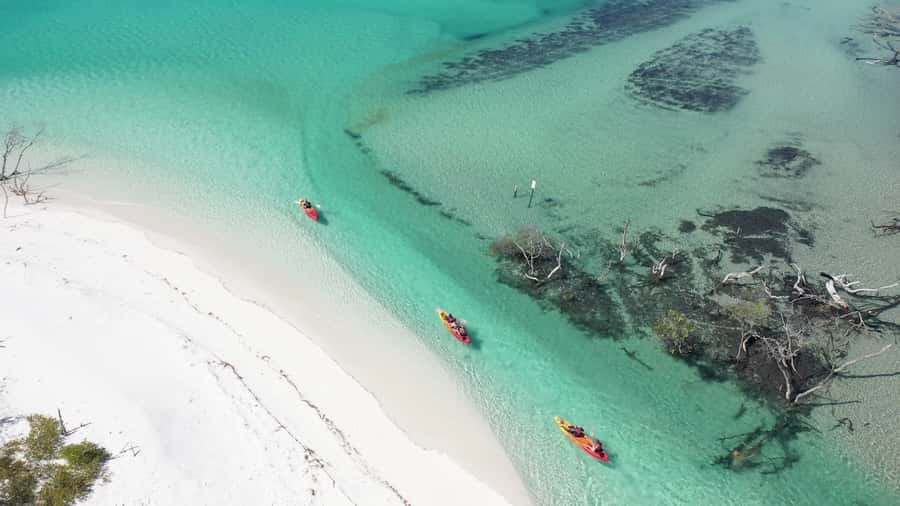 Fraser Island (K'gari): Remote Island and Whale Experience - Lunch on board and the second creek stop