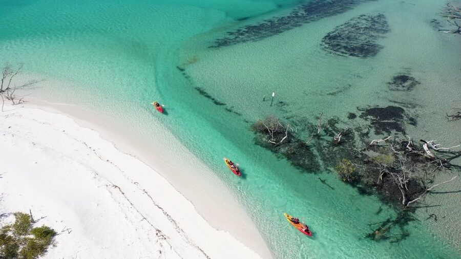 Fraser Island (K'gari): Remote Island and Whale Experience - The whale encounter is the main event