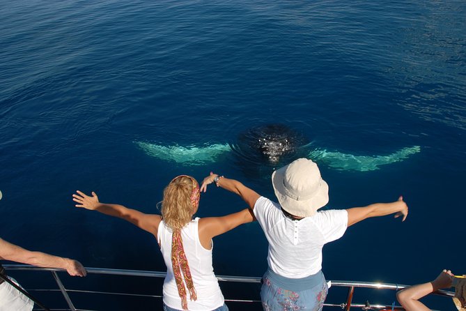 Fraser Island Whale Watch Encounter - Hearing humpback songs through the hydrophone