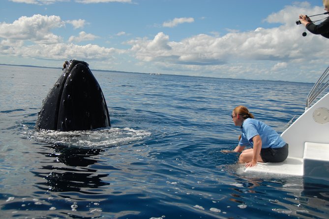 Fraser Island Whale Watch Encounter - The small-group advantage