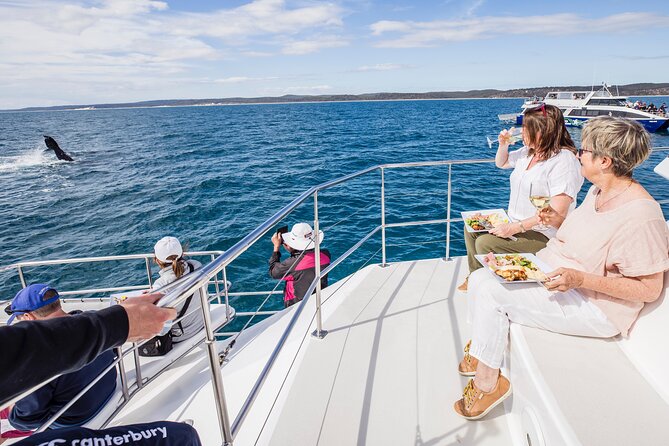 Freedom 3/4 Day Hervey Bay Premium Whale Watching Cruise - Why six hours makes a difference in Platypus Bay