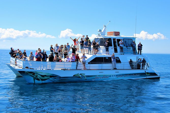Freedom 3/4 Day Hervey Bay Premium Whale Watching Cruise - Morning tea, buffet lunch, and afternoon tea