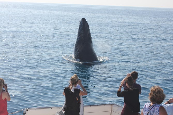 Freedom 3/4 Day Hervey Bay Premium Whale Watching Cruise - KGari views add variety to the day