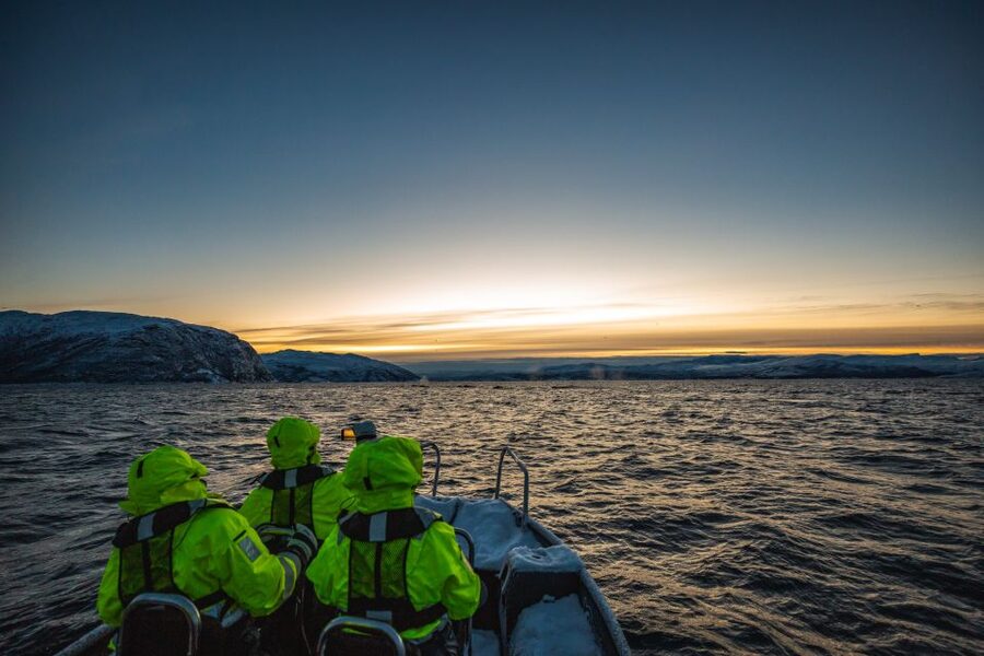 From Alta: Small Group Whale Watching by RIB - Key points at a glance