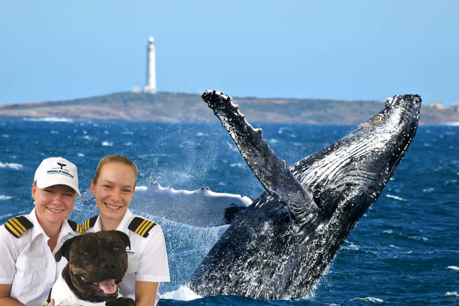 From Augusta: Whale Watching Award Winning Tour - Why Augusta is such a good whale-watching base