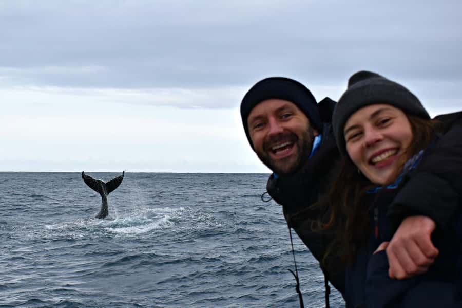 From Augusta: Whale Watching Award Winning Tour - Following the humpback migration through Flinders Bay