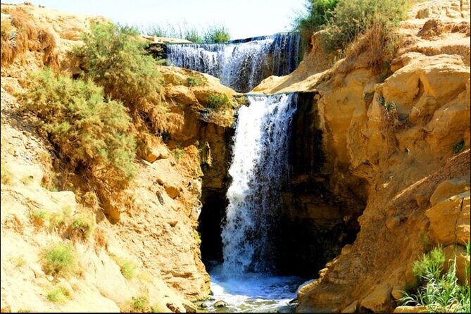 From Cairo to Whales Valley and Wadi El Rayan Waterfalls - Wadi Hitan and the story written in fossil bones