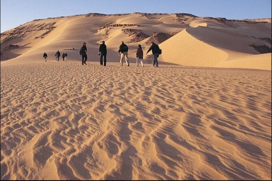 From Cairo: Whale Valley and Wadi El Rayan Waterfalls Tour - Key points at a glance