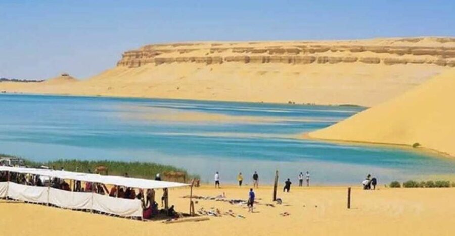 From Cairo: Whale Valley and Wadi El Rayan Waterfalls Tour - Leaving Cairo for Fayoum’s open desert