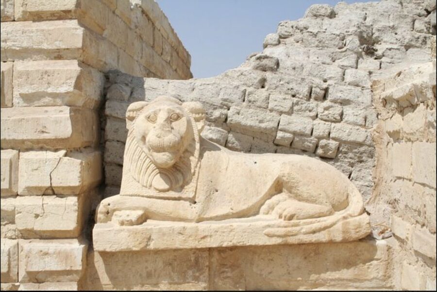 From Cairo: Whale Valley and Wadi El Rayan Waterfalls Tour - Qarun Lake, ancient water in a desert region
