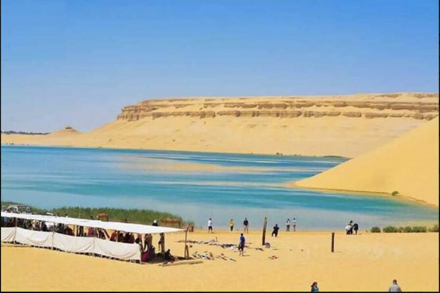 From Cairo: Whale Valley and Wadi El Rayan Waterfalls Tour - Magic Lake and the last desert stop