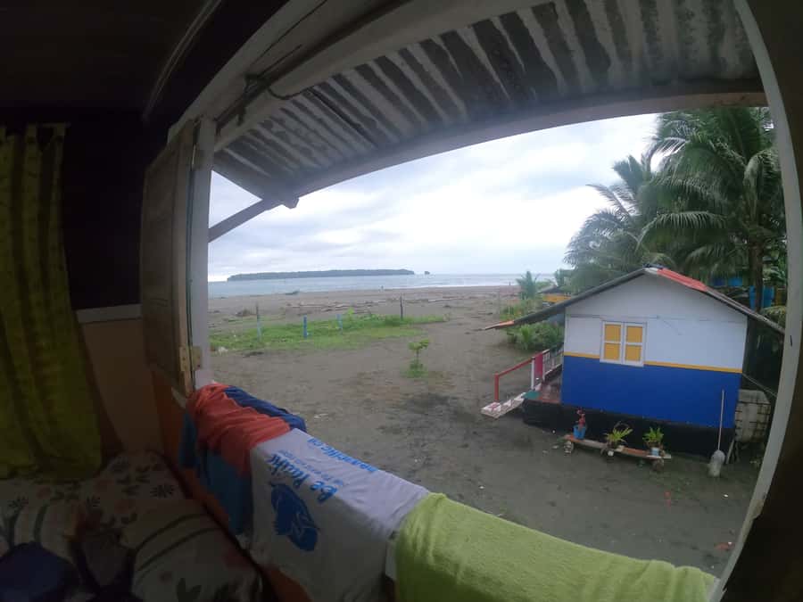 From Cali: Whale Watching Day Trip in Buenaventura - The guide and group size