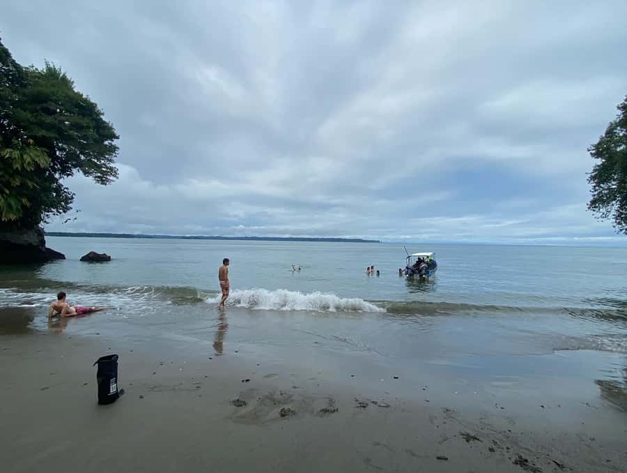 From Cali: Whale Watching Day Trip in Buenaventura - Leaving Cali at 5:30 AM