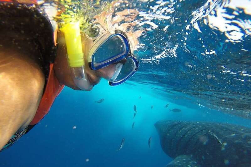From Cancún: Half-Day Snorkeling with Whale Sharks - Crossing the Caribbean by speedboat