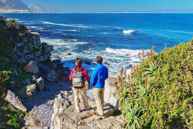 From Cape Town: Full Day Guided Hermanus and Whale Tour - Why Hermanus makes a fine day out from Cape Town