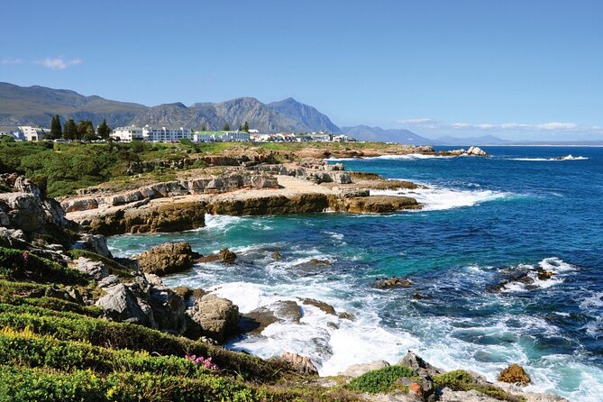 From Cape Town: Full Day Guided Hermanus and Whale Tour - Hermanus New Harbour and the optional whale cruise