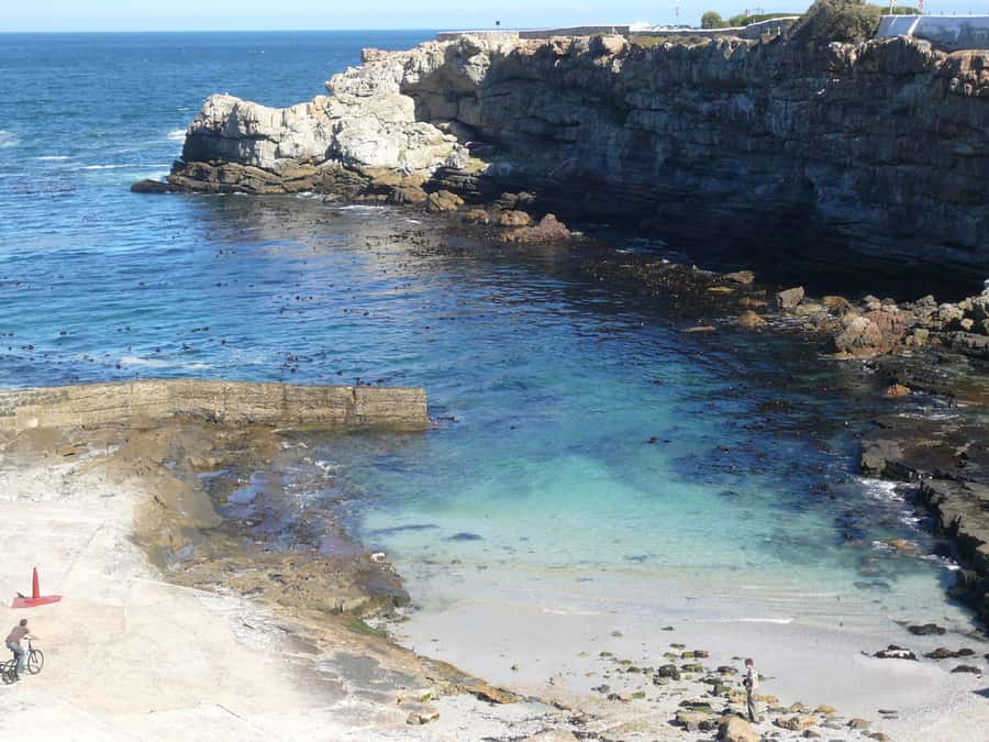 From Cape Town: Full Day Hermanus Whale Watching Tour - What to bring and how to handle the long day