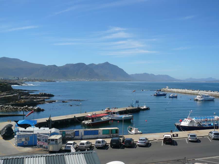 From Cape Town: Full Day Hermanus Whale Watching Tour - Who will enjoy this Hermanus day trip?
