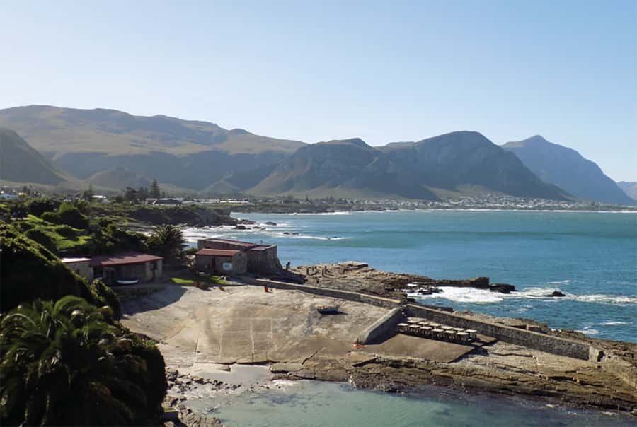 From Cape Town: Hermanus Whale Watching Full Day Tour - The urban wine tasting is a smart inclusion