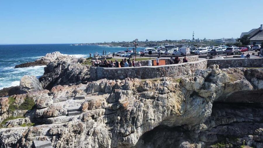 From Cape Town: Hermanus Whale Watching Tour with Boat Trip - The private guide makes the long day easier