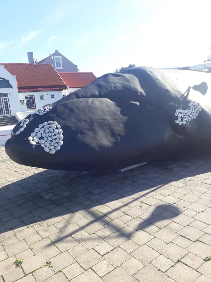 From Cape Town: Hermanus Whale Watching Tour with Transfer - Key points to know before booking