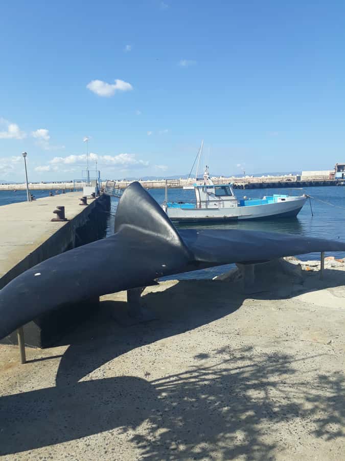 From Cape Town: Hermanus Whale Watching Tour with Transfer - From Cape Town townships to Hermanus