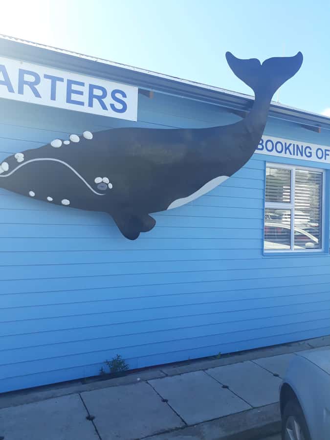 From Cape Town: Hermanus Whale Watching Tour with Transfer - Sir Lowry’s Pass and Steenbras Dam