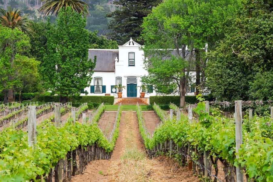 From Cape Town: Hermanus Whale Watching Tour with Transfer - Is $317 a fair price?