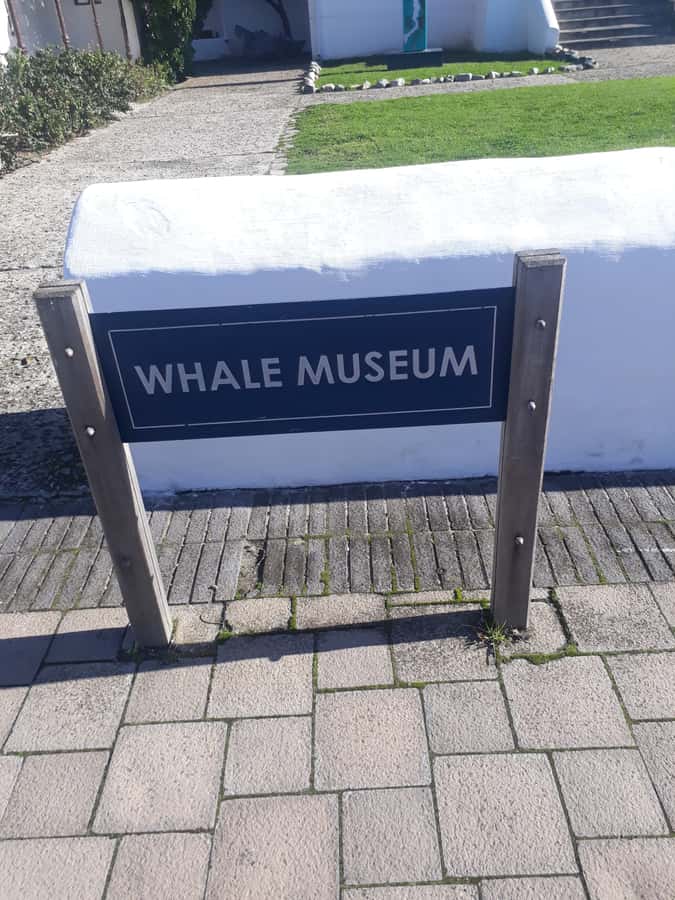 From Cape Town: Hermanus Whale Watching Tour with Transfer - Film studios, wine country, and Somerset West