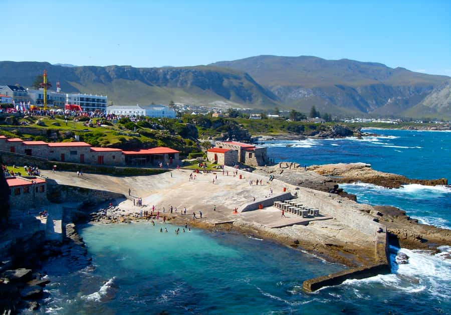 From Cape Town: Whale Watching Tour in Hermanus and Gansbaai - Betty’s Bay offers penguins and breathing room