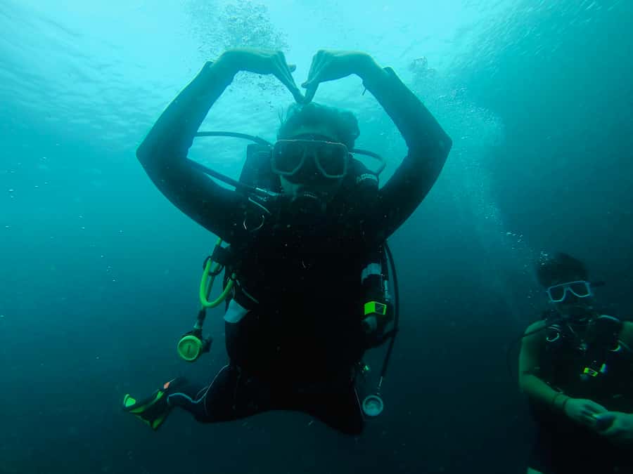 From Cebu City: Scuba Diving with Whale Sharks Trip in Oslob - Leaving Cebu City before sunrise